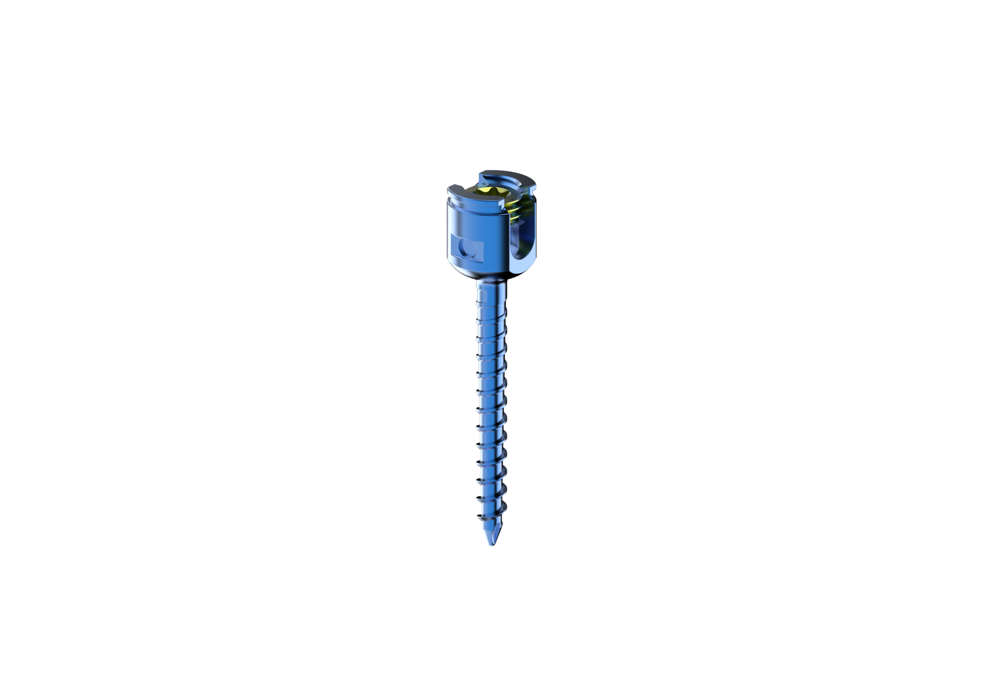 Monoaxial Screw Spine Screw