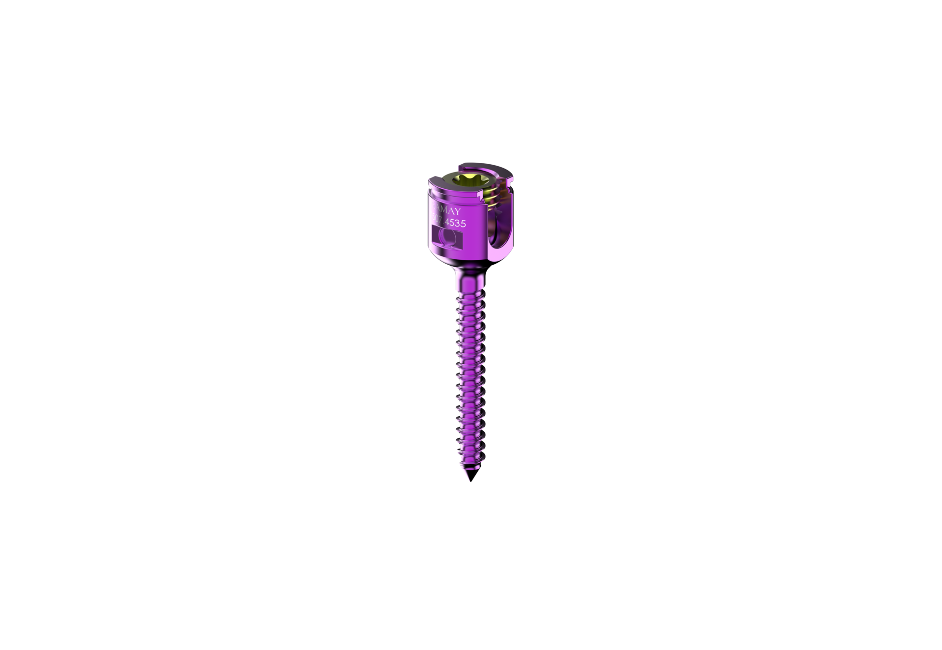 Polyaxial Screw Spine Screw